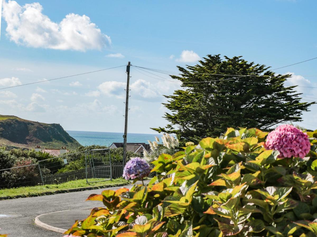 33 Weymouth Park Villa Kingsbridge  Eksteriør billede